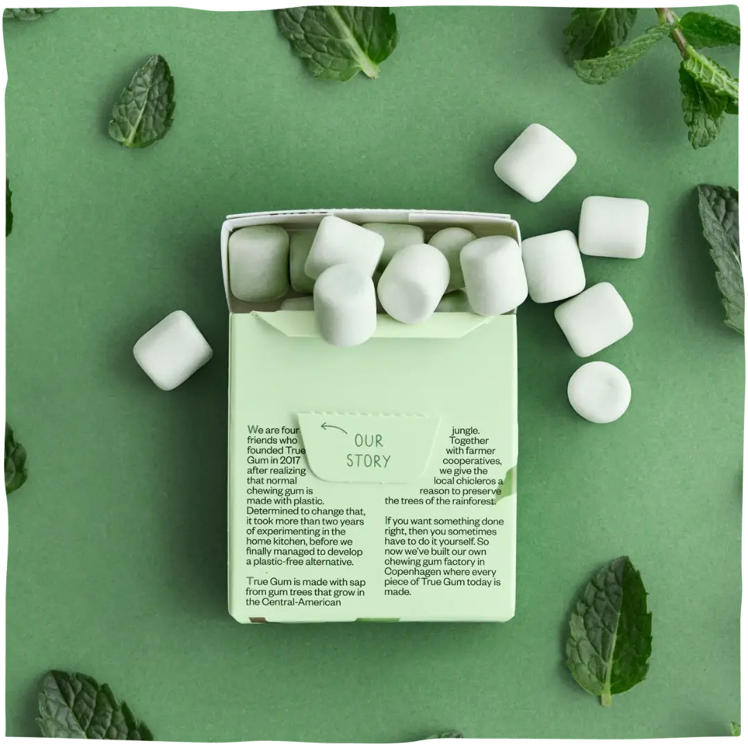 Kramtomoji guma True Gum be cukraus su pipirmėtėmis, 21g pakuotė