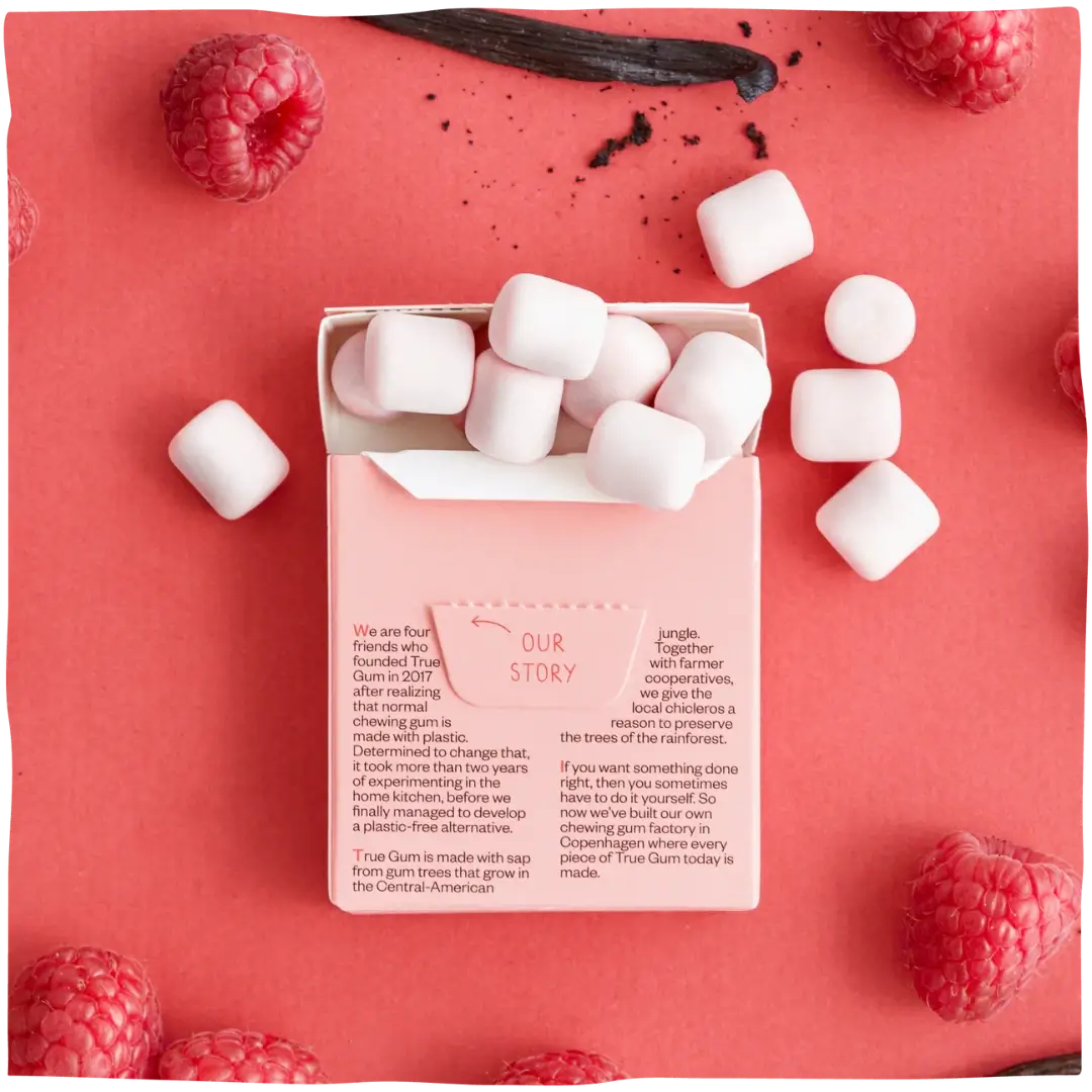 Kramtomoji guma True Gum be cukraus su avietėmis, 21g pakuotė